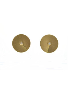 Earrings  Hoops Gold