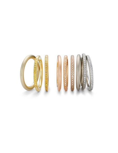 Anillo Niessing Satellite