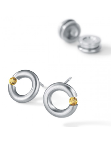 Amathyst Earrings  Round Steel