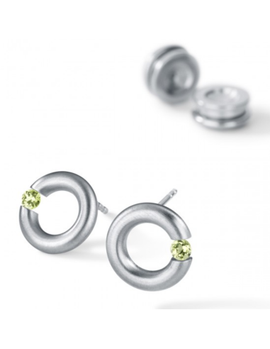 Citrin Earrings  Round Steel