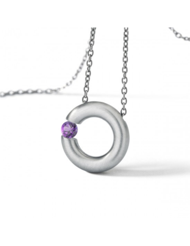 Amathyst Earrings  Round Steel