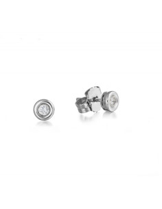 White Gold with Diamond earrings