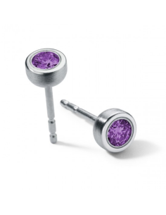 Amathyst Earrings  Round Steel