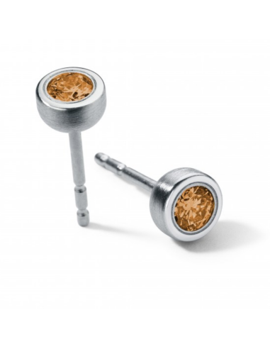 Citrin Earrings  Round Steel