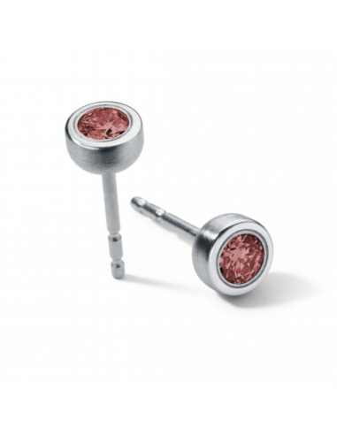 Rhodolit Earrings  Round Steel