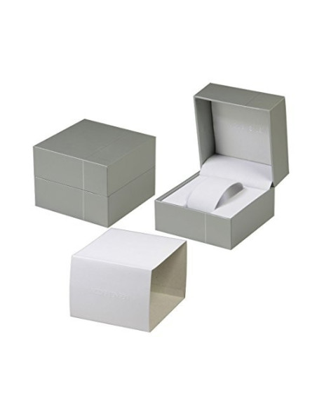 Titanium Jacob Jensen Watch