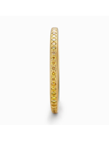 Anillo Niessing Satellite