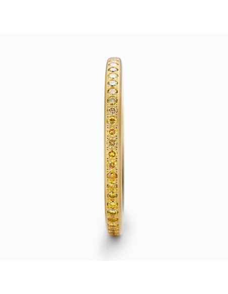 Anillo Niessing Satellite