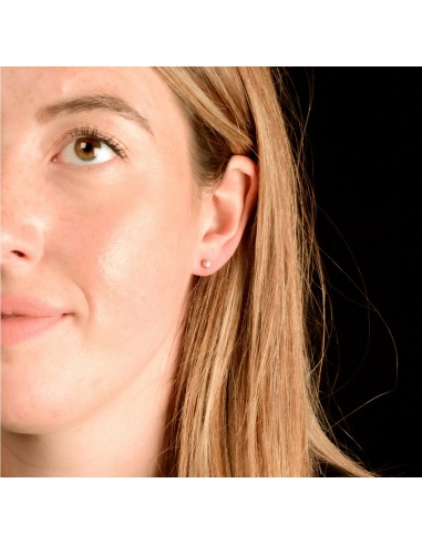 Pendientes Bolitas Rosa