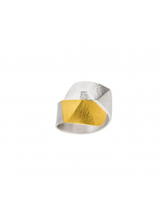 Silver, Gold and Princess Diamond Ring