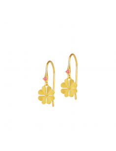 Pendientes "Kleenias" Gancho