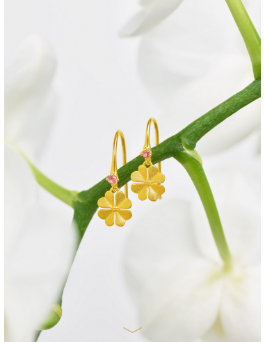 Pendientes "Kleenias" Gancho