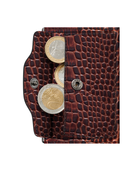 C&S Coin Pocket Croco Brown/Silver Purse