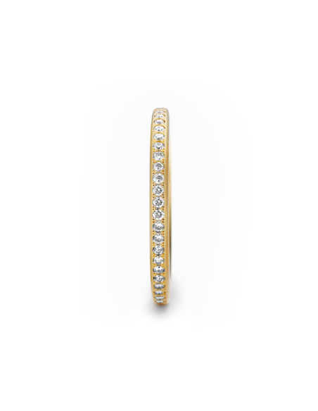 Anillo Niessing Satellite