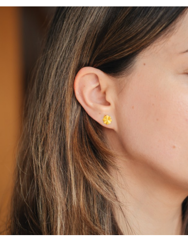 Pendientes "Kleenima"