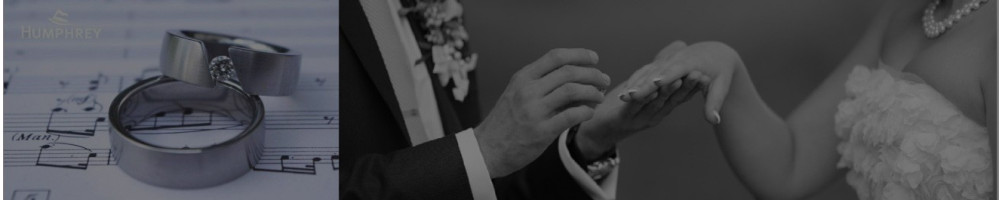 alliances steel rings steel rings steel surgical rings steel wedding ring material steel